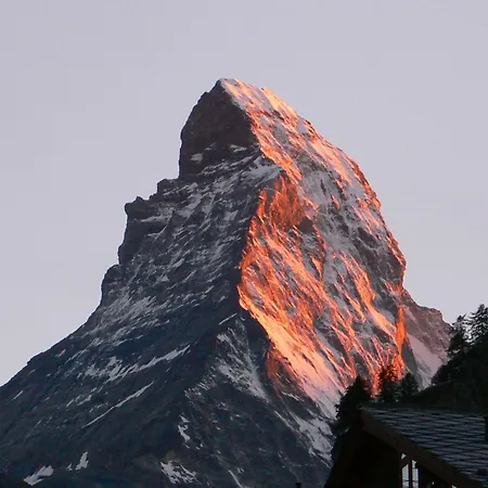 酒店 Gornergrat Dorf 3*
